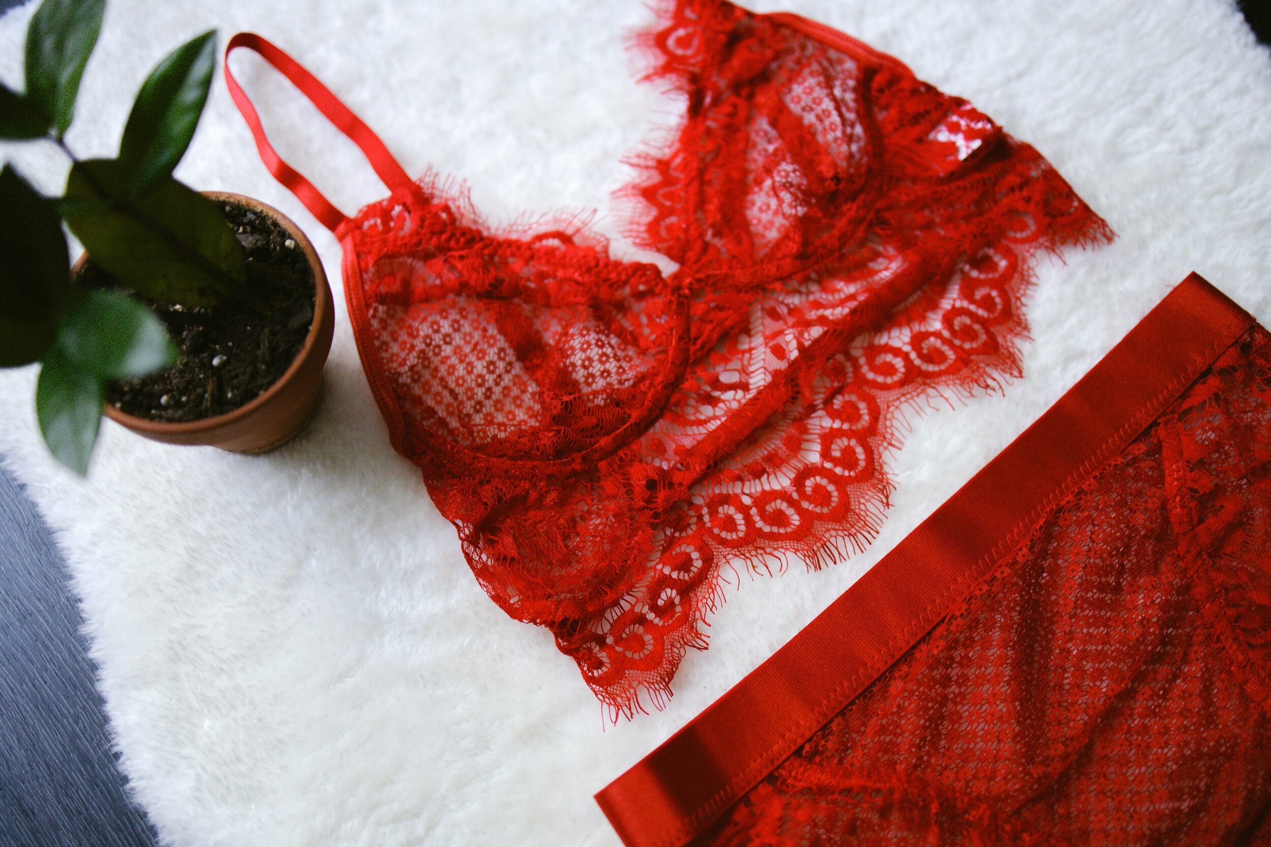Best Places to Buy Lingerie for Your Boudoir Photoshoot